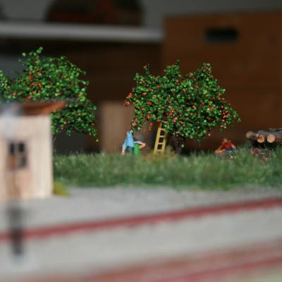 Img 3111