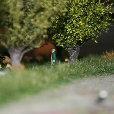 Img 3112