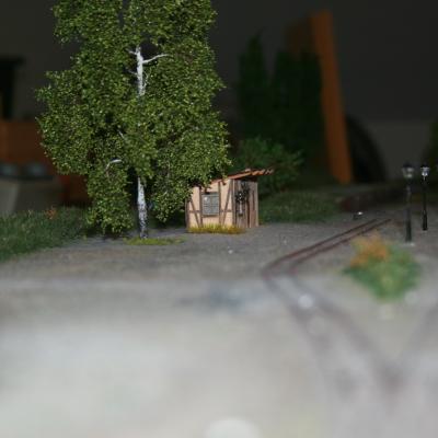 Img 3113
