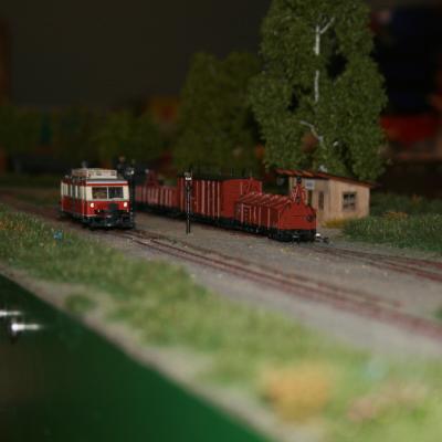 Img 3126